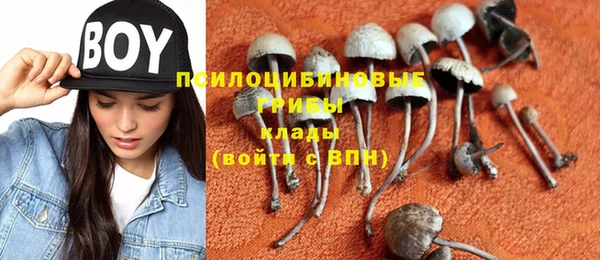apvp Ельня
