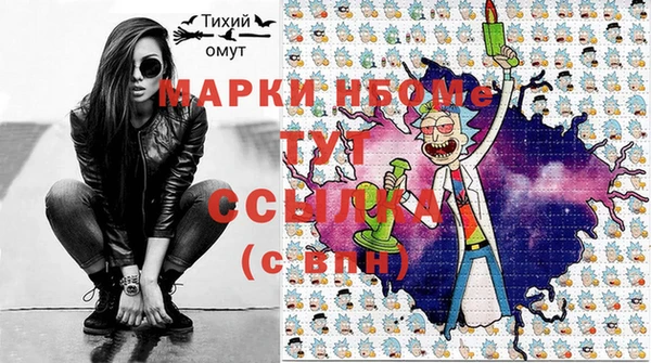 индика Заволжск