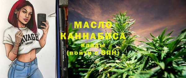 индика Заволжск