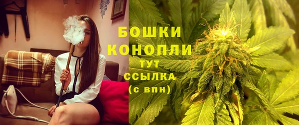 бошки Заводоуковск