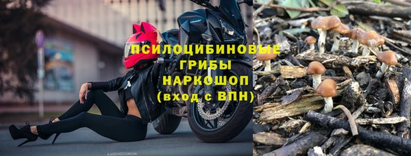 бошки Заводоуковск