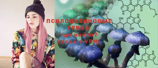 apvp Ельня