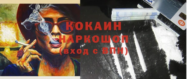 бошки Заводоуковск