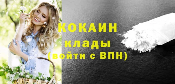 дмт Елизово