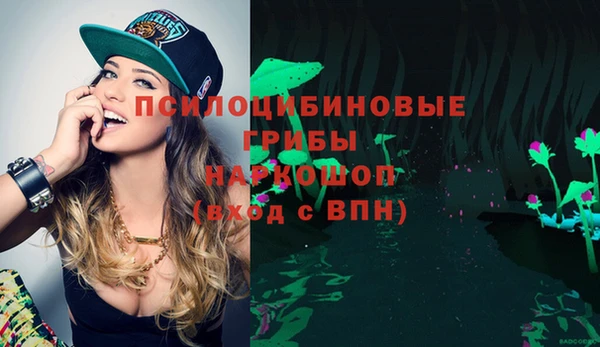 индика Заволжск