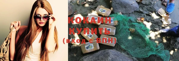дмт Елизово
