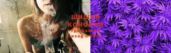 дмт Елизово