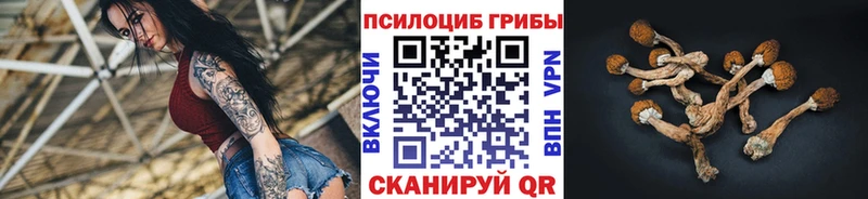Галлюциногенные грибы Psilocybe  Купить  Яранск 